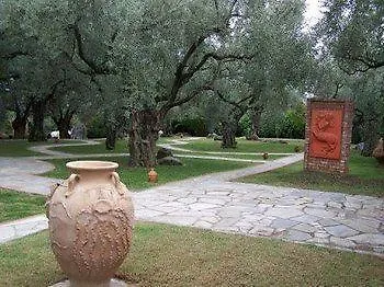 Alkifron
